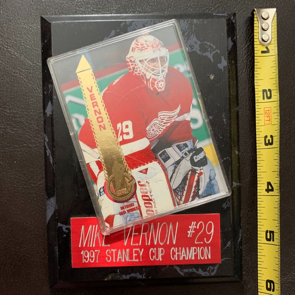 detroit red wings Mike Vernon goalie framed card